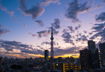 TokyoSkyTree