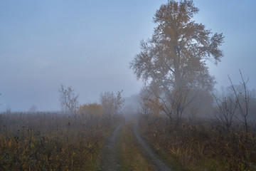 Obraz premium A quiet autumn dawn over the lake in sunlight. Fresh fog creeps over the ground.