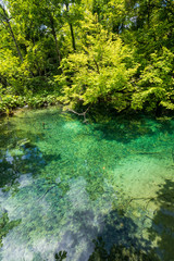 Azure colored pond with crystal clear water deep in the dense forest of the Plitvice Lakes National Park in Croatia