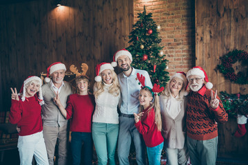 Portrait of nice lovely cheerful big full family brother sister wearing deer accessory generation...