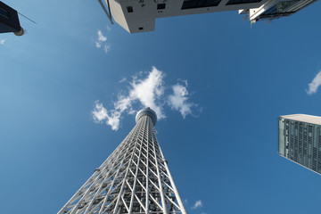 Tokyo Sky Tree