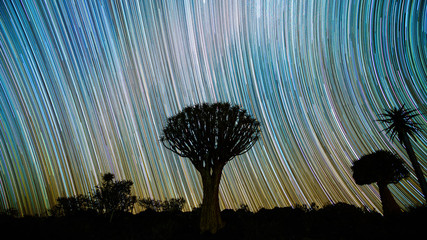 Beautiful Star trails at Quiver Trees Forest in Keetmanshoop, Namibia. Night landscape photograph.