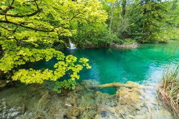 The pure fresh water of a small creek cascades into the azure coloured crystal clear water of a pond at the Plitvice Lakes National Park in Croatia
