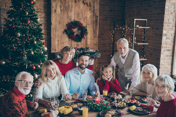 Fototapeta na wymiar Photo of full big family gathering sit dinner table multi-generation reunion posing for holiday portrait in newyear atmosphere decor living room evergreen tree indoors