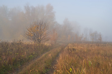 Obraz na płótnie Canvas A quiet autumn dawn over the lake in sunlight. Fresh fog creeps over the ground.