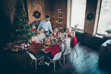 Merry christmas. Photo of big family gathering sit dinner table telling x-mas toasts multi-generation reunion in newyear atmosphere decorated evergreen tree room indoors