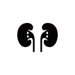 Kidney icon. Health and medical icon. Anatomy kidney vector