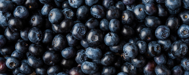 Fresh blueberries - texture. Close up. Panoramic banner