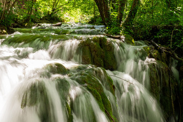 Rushing water cascades down the overgrown natural barriers deep in the dense forest of the Plitvice Lakes National Park, Croatia