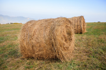 Rural landscape with rolled haystack