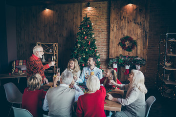 Nice lovely cheerful big full family boy enjoying winter December day gathering tradition eat brunch grandpa saying toast near fir tree in modern industrial loft brick style interior decorated house