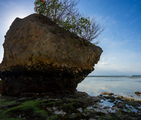 Large rock at beach