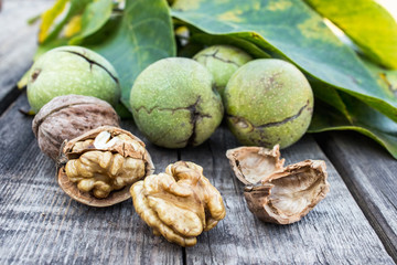 Walnut kernels and whole walnuts lie next to nuts in green shells and green leaves on a rustic old wooden table.