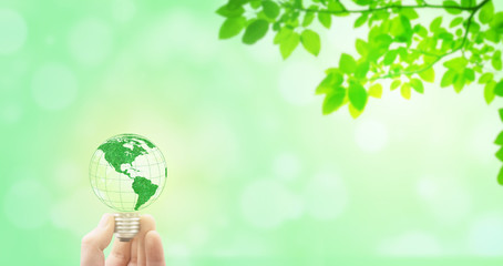 Ecology and Environmental Concept : Hand holding green earth light bulb with green trees in background.