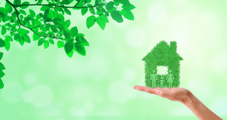 Ecology and Environmental Concept : Hand holding green family and home icon with branches tree and sunlight in background.