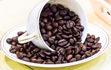 Raw roasted coffee beans in cotton sack.