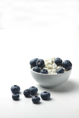 a bowl of cottage cheese and blueberry isolated on white background