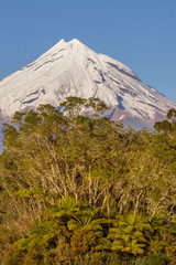 Fototapeta premium Snow covered Mount Taranaki viewed from Lake Mangamahoe. Also known as Mount Egmont this dormant volcano is located in the Taranaki District of the North Island of New Zealand.