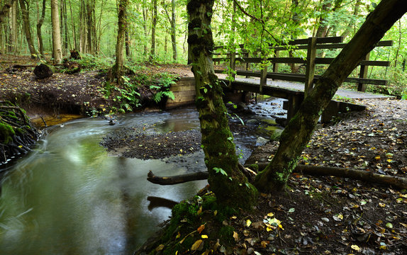 Rodenbeker Quellental 1