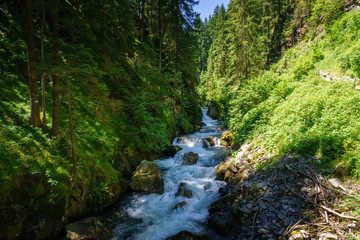 Fototapeta na wymiar Gilfenklamm Südtirol 2019