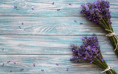 Fresh flowers of lavender