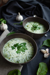 two plates of green cream soup. side view