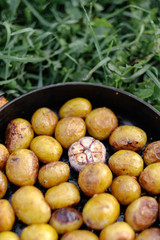 fried small potatoes in a pan lies on the grass