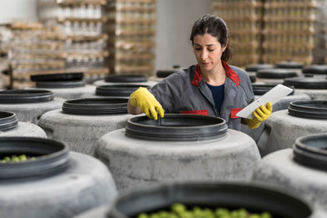 Woman with tablet in factory revise fresh olives containers