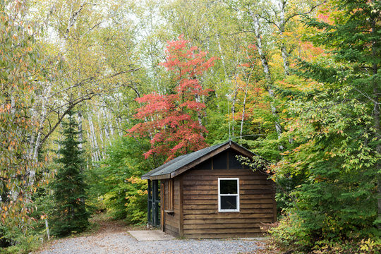 Wooden cottage in forest in early autumn. Ontario. Canada