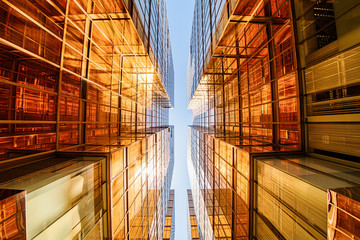 Modern glass skyscrapers perspective in the city