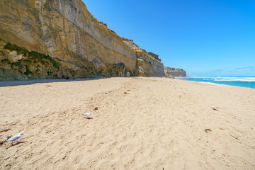 gibson steps, twelve apostles marine national park, great ocean road, australia 85