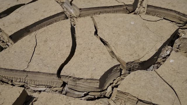 Climate Change: Cracked earth in a desert after a hevy rainfall