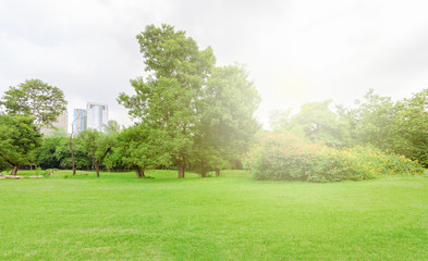 Peaceful and bright garden landscape
