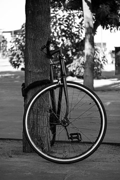 cycle