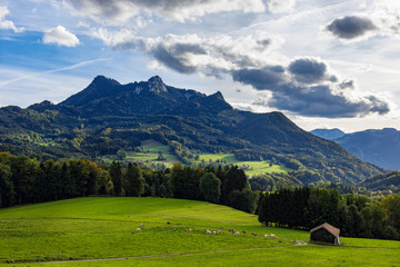 Fototapeta na wymiar Landschaft mit Wiesen vor Heuberggipfel am Samerberg, Oberbayern