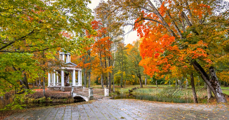 Obraz premium Autumn in old abandoned botanical park, Europe 