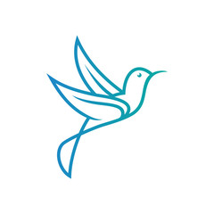 Bird logo design, Animal flying icon vector