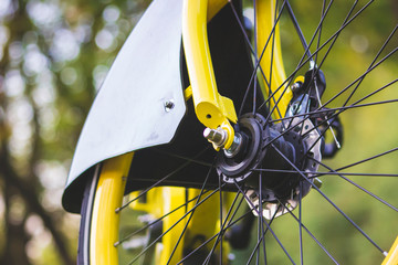 Yellow bicycle wheel with spokes. © AndreiBegun