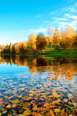 Bright autumn scene with pond in the park and trees with yellow autumnal foliage