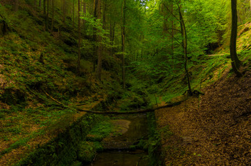 Schwedenlöcher - Saxon Switzerland National Park - Rathen Germany