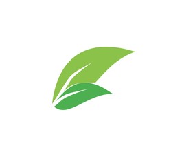Fototapeta na wymiar green leaves icon