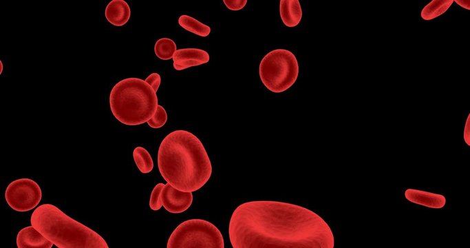 Red Blood Cells Flowing Through Circulatory System