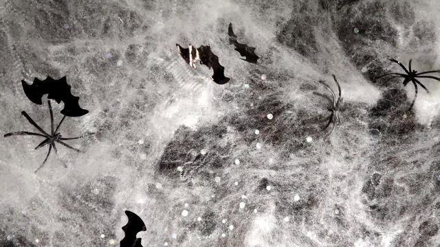 Halloween scene on black background, Black decorative bats and spiders