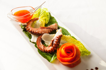 Grilled octopus on white background