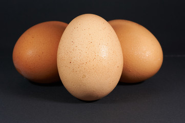 eggs on a black background