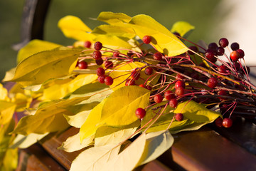 Rowan berries lie on yellow leaves. Yellow leaves with rowan berries autumn still life on bench