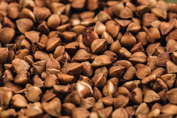 handful of buckwheat. many buckwheat seeds