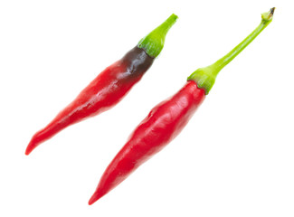 Red chili pepper isolated on a white background