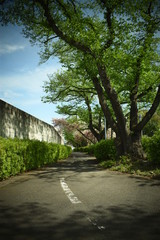裏道