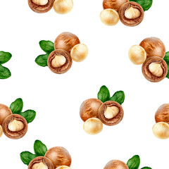 Macadamia hand drawn watercolor illustration. Seamless pattern.